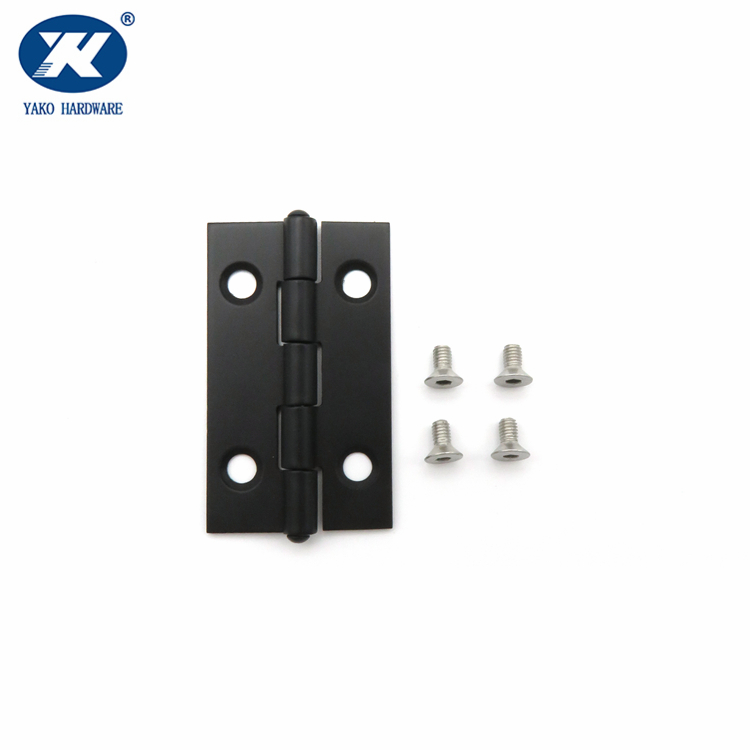 Stainless Steel T Hinges