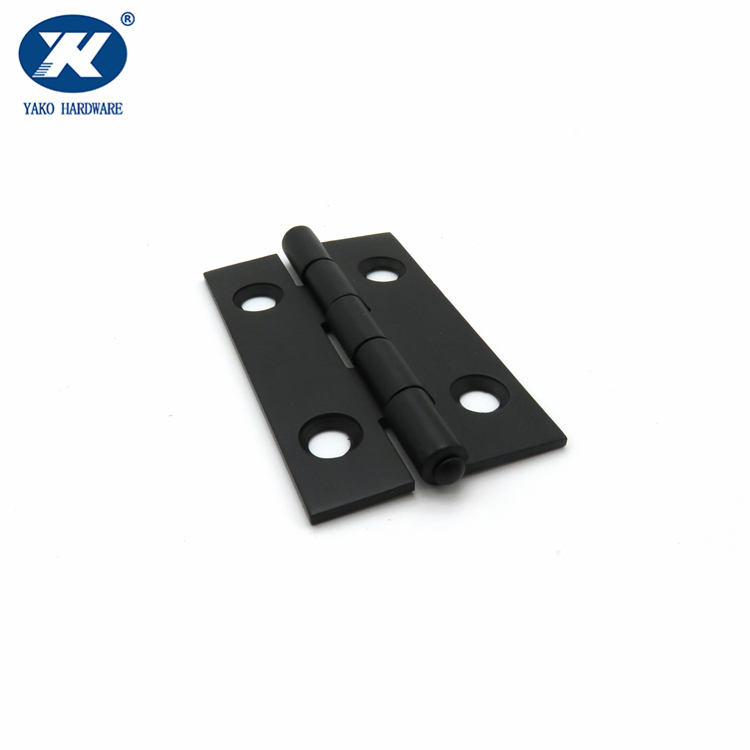 Stainless Steel T Hinges