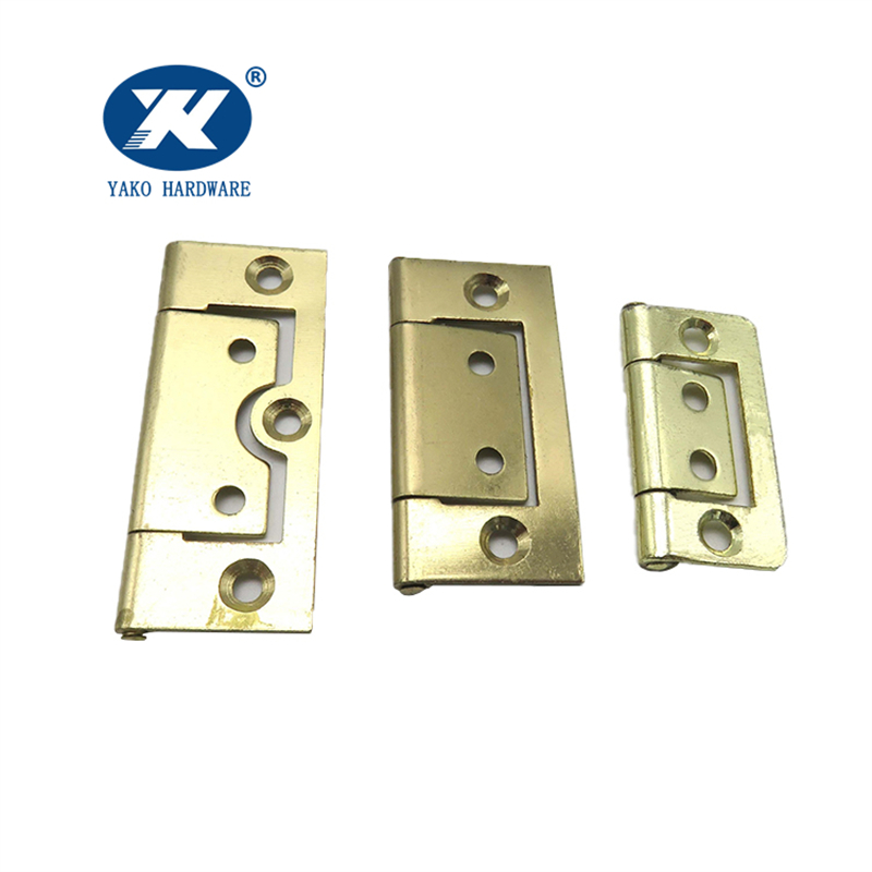 Polished Brass Hinges