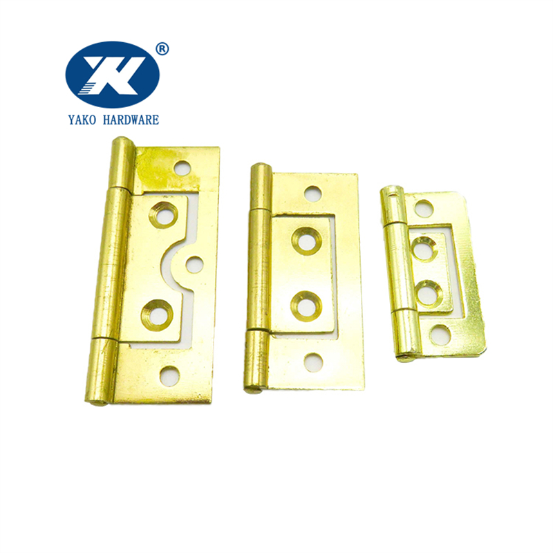 Polished Brass Hinges