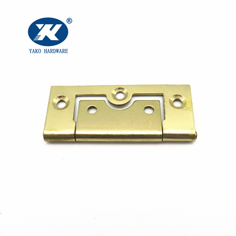 Polished Brass Hinges