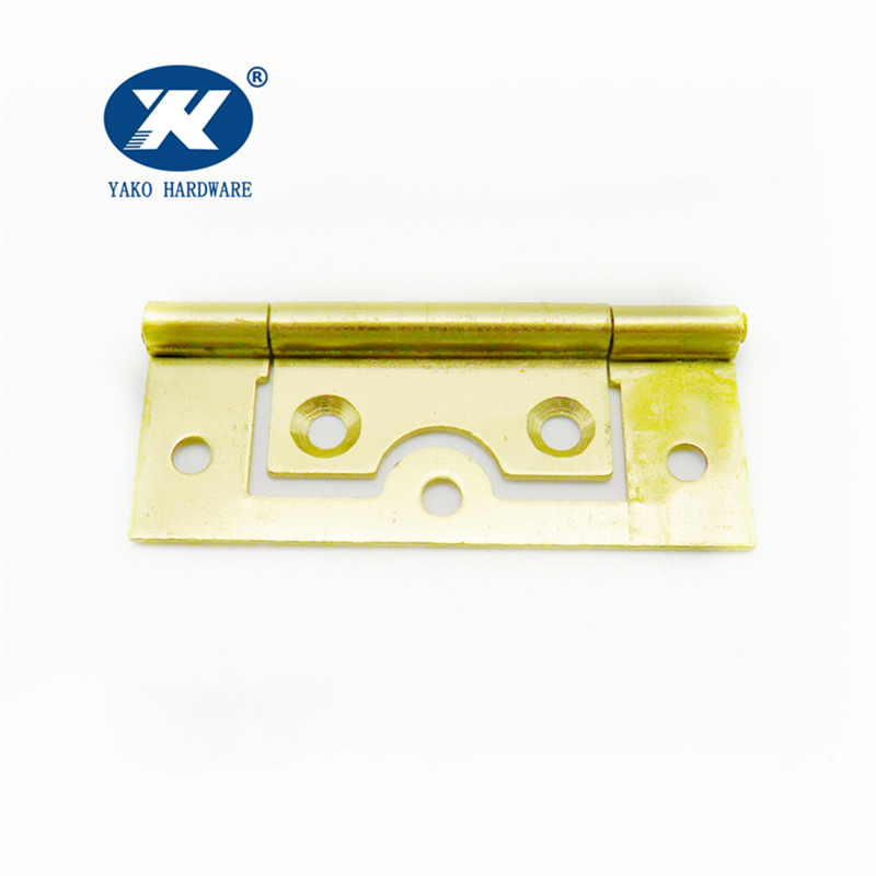 Polished Brass Hinges