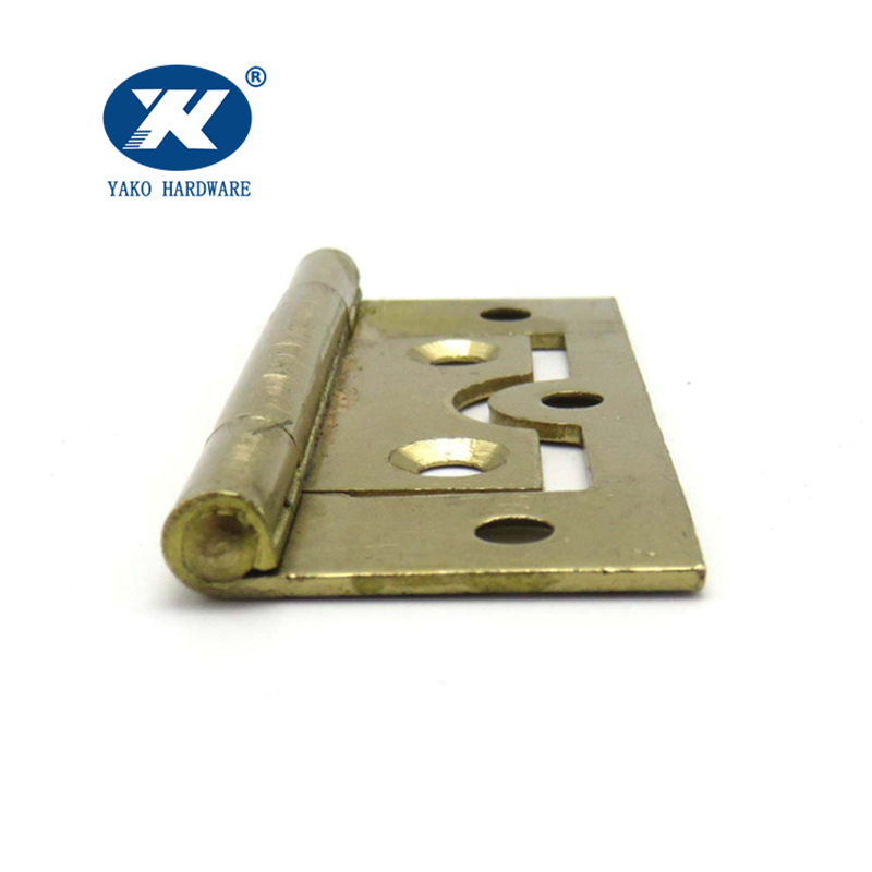 Polished Brass Hinges
