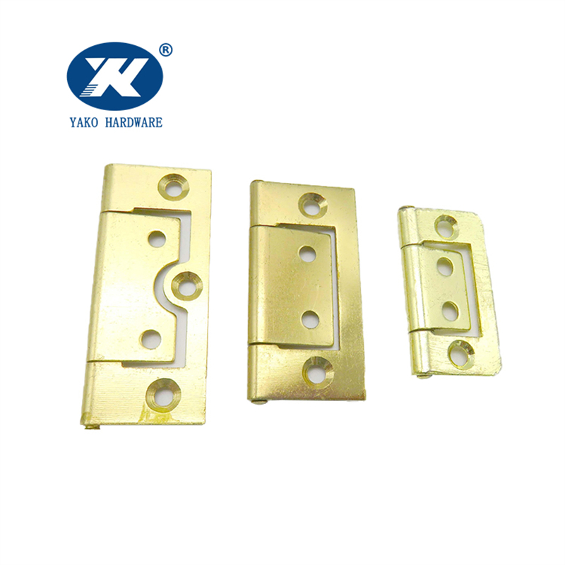 Polished Brass Hinges