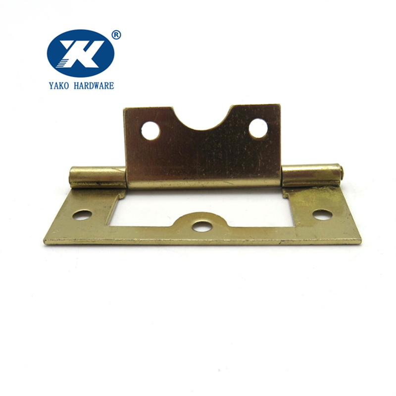Polished Brass Hinges