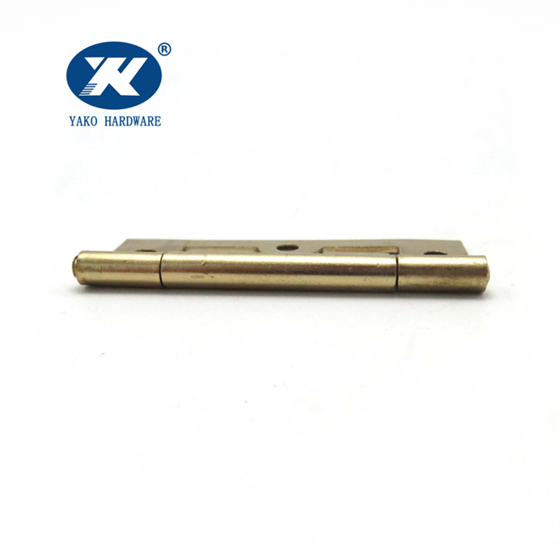 Polished Brass Hinges